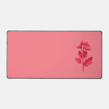 Roze Chrysanthemum