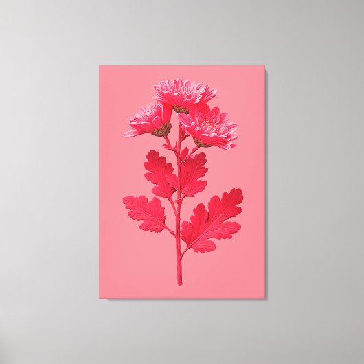 Roze Chrysanthemum Canvas Afdruk (Voorkant)