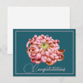 Roze Chrysanthemum Cyaan Achtergrond Felicitaties Briefkaart (Voorkant / Achterkant)