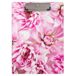 Roze Chrysanthemum Flower Klembord