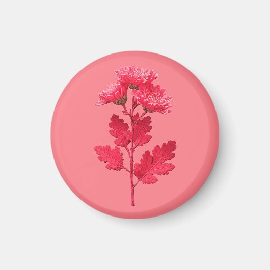 Roze Chrysanthemum Magneet (Voorkant)