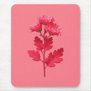 Roze Chrysanthemum  Muismat
