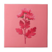 Roze Chrysanthemum Tegeltje (Voorkant)