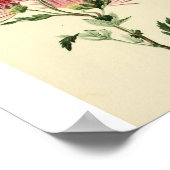 roze chrysanthemum ventilator poster (Hoek)