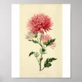 roze chrysanthemum ventilator poster (Voorkant)