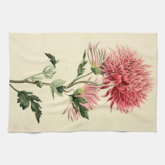  roze chrysanthemum ventilator theedoek (Horizontaal)