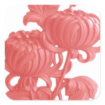 Roze Chrysanthemum