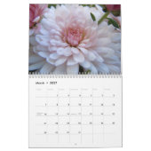 Roze Chrysanthemums, A 2012-agenda Kalender (Mar 2027)