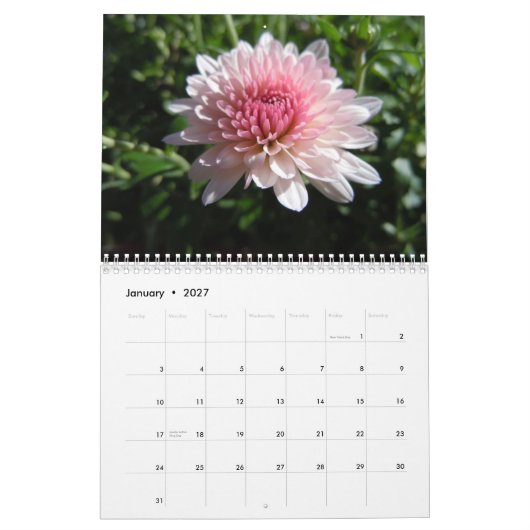 Roze Chrysanthemums, A 2012-agenda Kalender (Jan 2027)