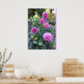 Roze Chrysanthemums (foto) Poster (Keuken)