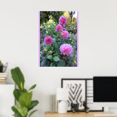 Roze Chrysanthemums (foto) Poster (Thuiskantoor)