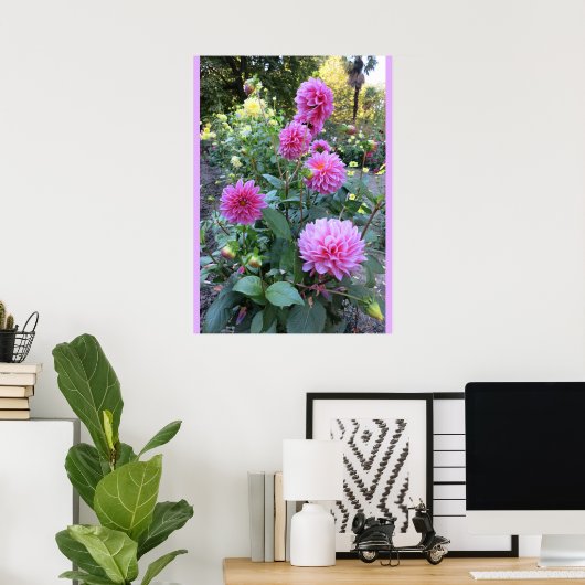 Roze Chrysanthemums (foto) Poster (Thuiskantoor)