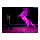 Roze Circus Horse (Voorkant Horizontaal)