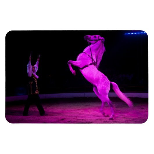 Roze Circus Horse Magneet (Horizontaal)