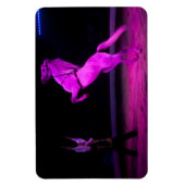 Roze Circus Horse Magneet (Verticaal)