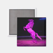 Roze Circus Horse Magneet (Voorkant / Achterkant)