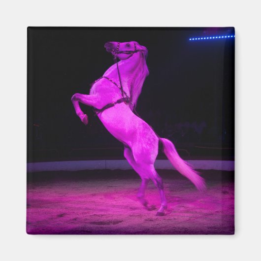 Roze Circus Horse Magneet (Voorkant)