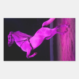 Roze Circus Horse Rechthoekige Sticker
