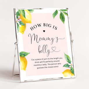Roze citroen Hoe groot is mama's buik? Poster