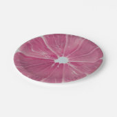 Roze citrusvruchten papieren bordje (Gekanteld)