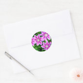 Roze Clematis en wilde Oregano Ronde Sticker (Envelop)