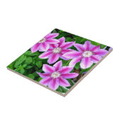 Roze Clematis en wilde Oregano Tegeltje (Zijkant)