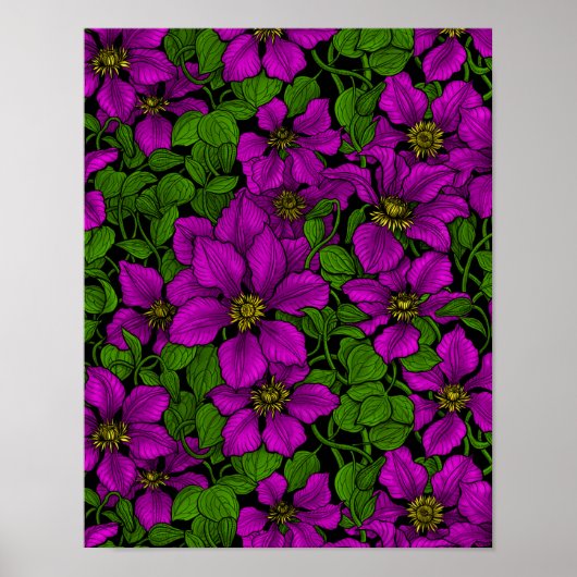 Roze Clematis vine Poster (Voorkant)