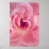 Roze Cloud Garden Roos Bokeh Achtergrond Sjabloon Poster (Voorkant)
