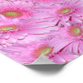 Roze cluster van Gerbera-bloem, Poster (Hoek)
