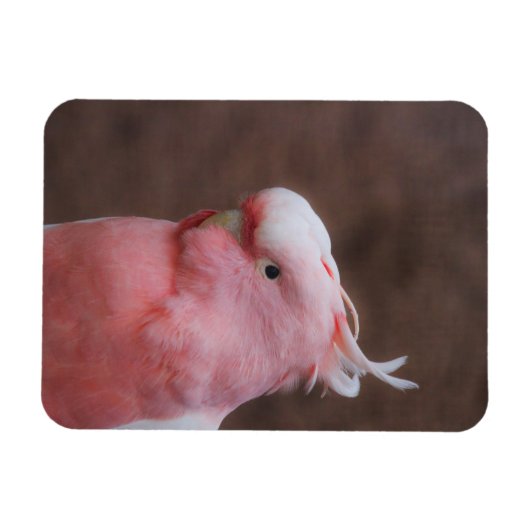 Roze Cockato Magneet (Horizontaal)