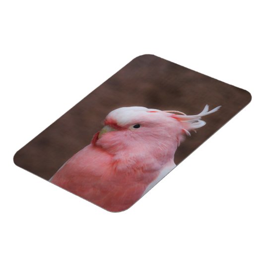 Roze Cockato Magneet (Linkerzijde)