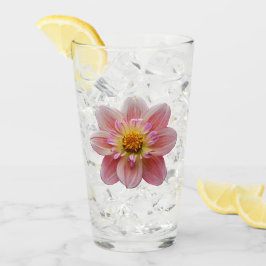 Roze Collarette Dahlia Bloom Bloemen Glas