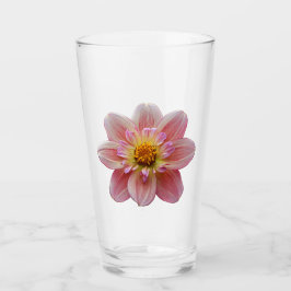 Roze Collarette Dahlia Bloom Bloemen Glas