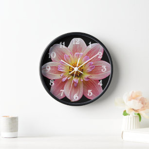 Roze Collarette Dahlia op Black Floral