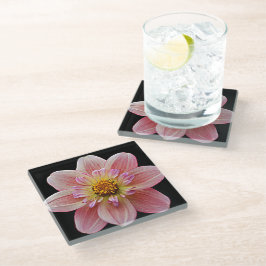 Roze Collarette Dahlia op Black Floral Glazen Onderzetter