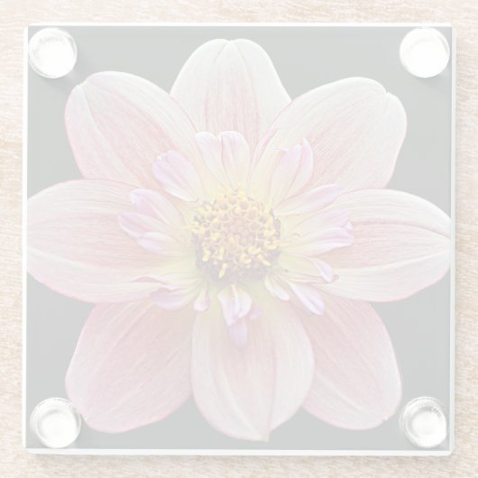 Roze Collarette Dahlia op Black Floral Glazen Onderzetter (Achterkant)