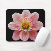 Roze Collarette Dahlia op Black Floral Muismat (Met muis)