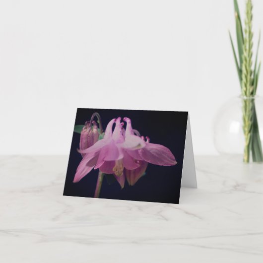 Roze Columbine Bloem Fotografie Notitiekaartje (Voorkant)