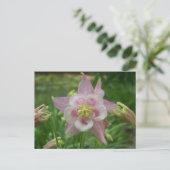 Roze Columbine Briefkaart (Staand voorkant)