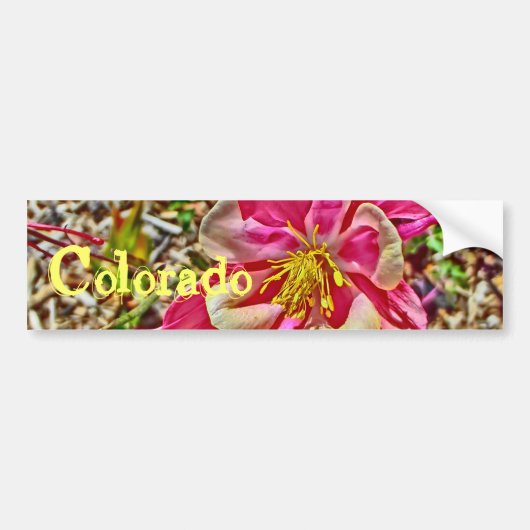 Roze columbine Colorado bumpersticker (Voorkant)