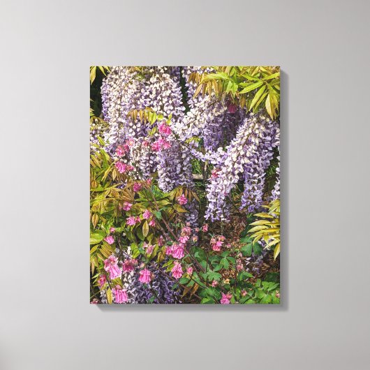 Roze Columbine en Paarse Wisteria Bloemen Canvas Afdruk (Voorkant)