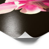 Roze Columbine Flower Close Up 8x10 Foto Afdruk (Hoek)