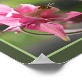 Roze Columbine Flower Close-up Abstract Poster (Hoek)