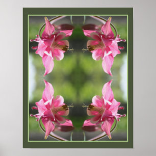 Roze Columbine Flower Close-up Abstract Poster