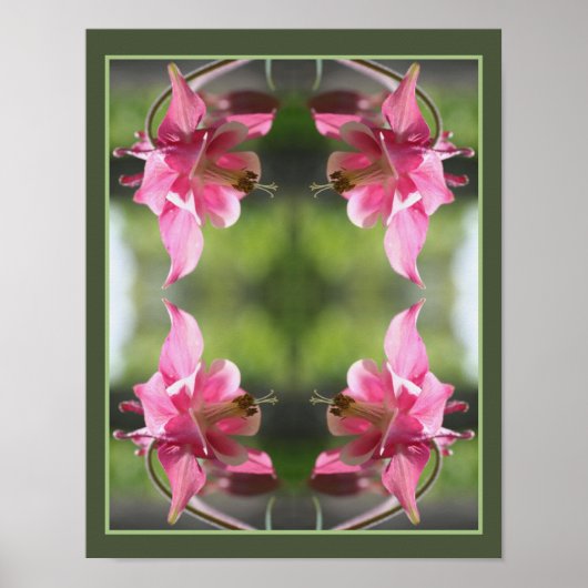 Roze Columbine Flower Close-up Abstract Poster (Voorkant)