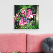 Roze Columbine Flowers Close Up Canvas Afdruk (Insitu (Woonkamer))