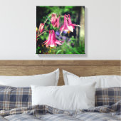 Roze Columbine Flowers Close Up Canvas Afdruk (Insitu (Slaapkamer))