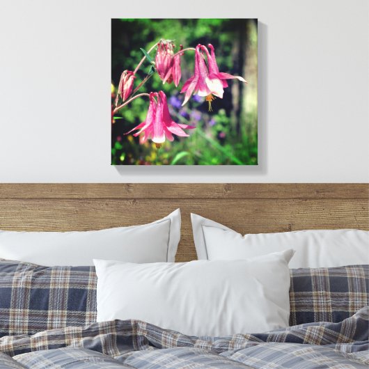 Roze Columbine Flowers Close Up Canvas Afdruk (Insitu (Slaapkamer))