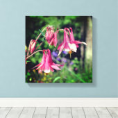 Roze Columbine Flowers Close Up Canvas Afdruk (Insitu (Houten vloer))