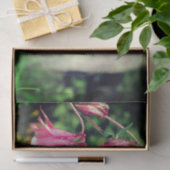 Roze Columbine Flowers Close Up Decoupage Tissuepapier (Geschenk)